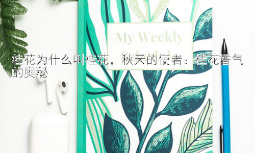 桂花为什么叫桂花，秋天的使者：桂花香气的奥秘插图