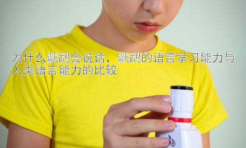 为什么鹦鹉会说话，鹦鹉的语言学习能力与人类语言能力的比较插图
