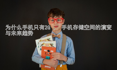 为什么手机只有2G ， 手机存储空间的演变与未来趋势插图