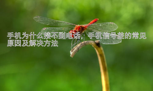手机为什么接不到电话，手机信号差的常见原因及解决方法插图