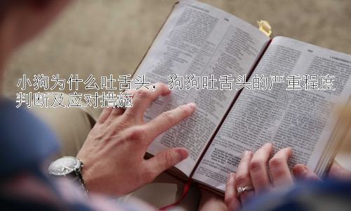 小狗为什么吐舌头，狗狗吐舌头的严重程度判断及应对措施插图