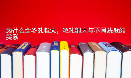 为什么会毛孔粗大，毛孔粗大与不同肤质的关系插图