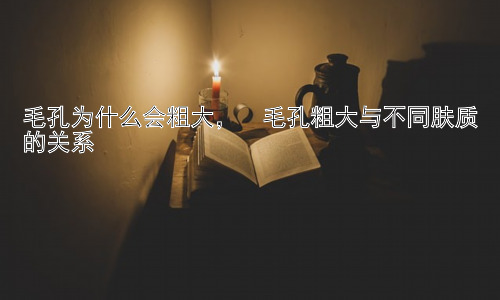 毛孔为什么会粗大，  毛孔粗大与不同肤质的关系插图
