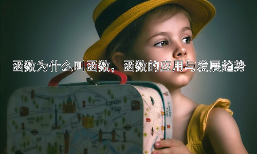 函数为什么叫函数，函数的应用与发展趋势插图