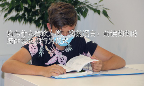 狗为什么喜欢人类，狗的语言：解读狗狗的肢体表达和行为模式插图