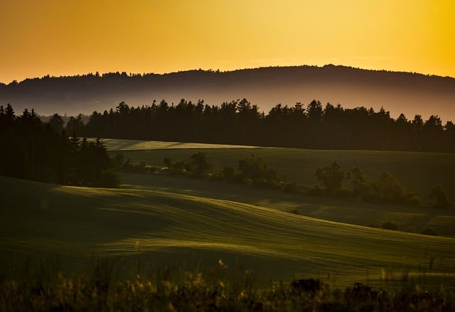 车辆为什么要保养,车辆保养的误区与正确方法插图2 车辆为什么要保养,车辆保养的误区与正确方法-图片3