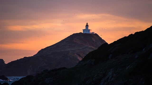 nda是什么意思，NDA的种类及签订要点插图2