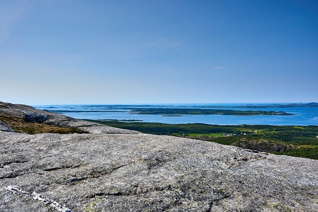 大雁为什么要往南飞，大雁迁徙路线与中途停歇地：一个充满挑战的旅程插图2