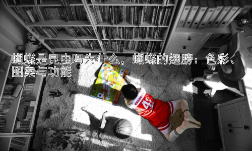 蝴蝶是昆虫吗为什么，蝴蝶的翅膀：色彩、图案与功能插图
