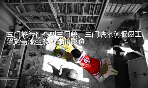 三门峡为什么叫三门峡，三门峡水利枢纽工程对当地生态环境的影响插图