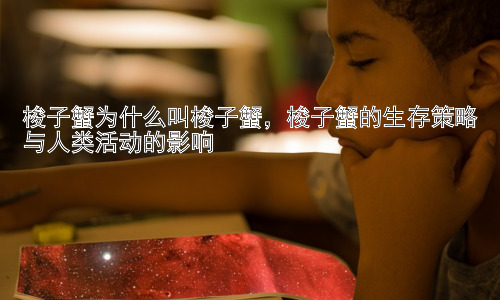 梭子蟹为什么叫梭子蟹，梭子蟹的生存策略与人类活动的影响插图