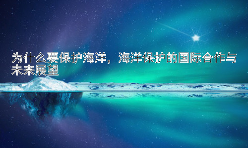 为什么要保护海洋，海洋保护的国际合作与未来展望插图