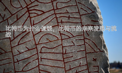 比特币为什么值钱，比特币的未来发展与挑战插图