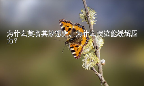 为什么莫名其妙想哭，为什么哭泣能缓解压力？插图