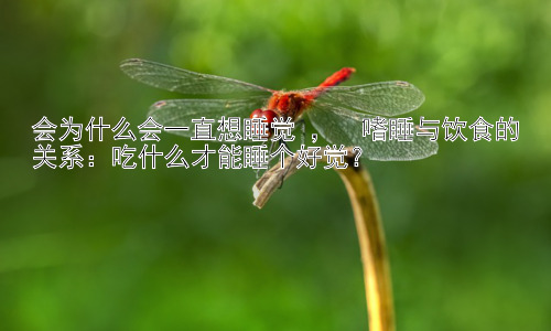 会为什么会一直想睡觉 ，  嗜睡与饮食的关系：吃什么才能睡个好觉？插图