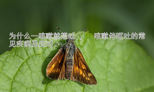 为什么一咳嗽就想吐 ，  咳嗽伴呕吐的常见疾病及应对插图
