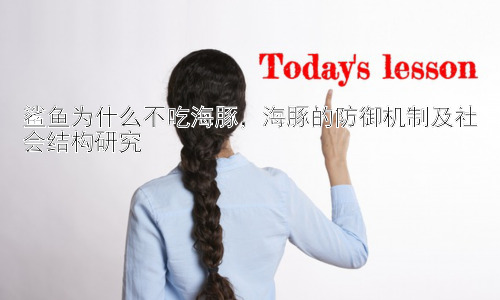 鲨鱼为什么不吃海豚，海豚的防御机制及社会结构研究插图