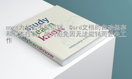 word为什么不能撤销，Word文档的自动保存和版本控制：如何避免因无法撤销而丢失工作插图