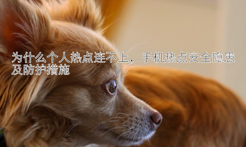 为什么个人热点连不上，手机热点安全隐患及防护措施插图