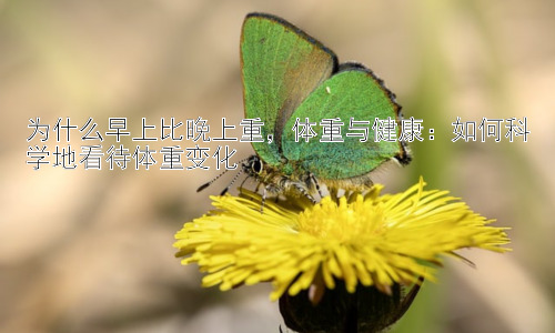 为什么早上比晚上重，体重与健康：如何科学地看待体重变化插图