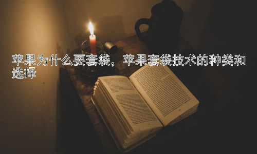 苹果为什么要套袋，苹果套袋技术的种类和选择插图
