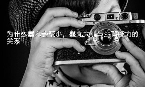 为什么睾丸会变小，睾丸大小与生育能力的关系插图