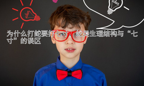 为什么打蛇要打七寸，蛇类生理结构与“七寸”的误区插图