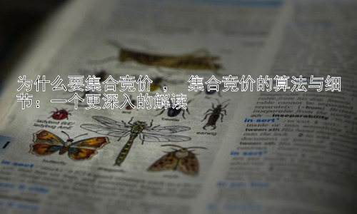 为什么要集合竞价 ， 集合竞价的算法与细节：一个更深入的解读插图