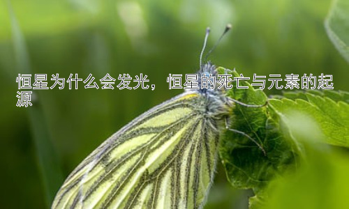 恒星为什么会发光，恒星的死亡与元素的起源插图