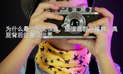 为什么最近放屁很臭，肠道菌群与健康：臭屁背后的微观世界插图