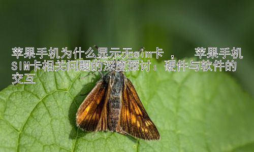 苹果手机为什么显示无sim卡 ，  苹果手机SIM卡相关问题的深度探讨：硬件与软件的交互插图
