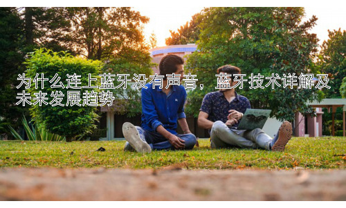 为什么连上蓝牙没有声音，蓝牙技术详解及未来发展趋势插图