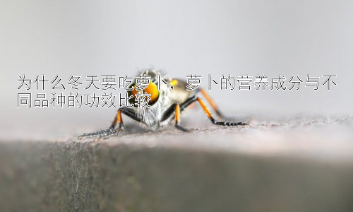 为什么冬天要吃萝卜，萝卜的营养成分与不同品种的功效比较插图
