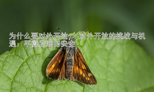 为什么要对外开放， 对外开放的挑战与机遇：平衡发展与安全插图