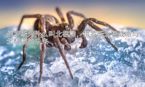 俄罗斯为什么叫北极熊，俄罗斯北极战略与北极熊的未来插图