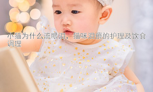小猫为什么流眼泪，猫咪泪痕的护理及饮食调理插图