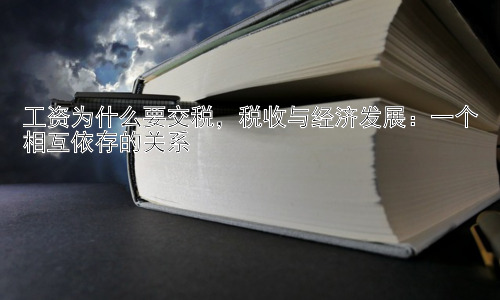 工资为什么要交税，税收与经济发展：一个相互依存的关系插图