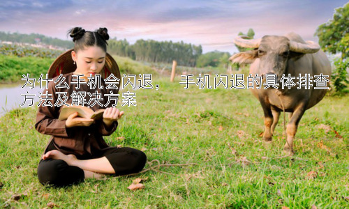 为什么手机会闪退， 手机闪退的具体排查方法及解决方案插图