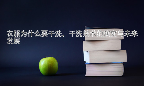 衣服为什么要干洗，干洗技术的演变与未来发展插图
