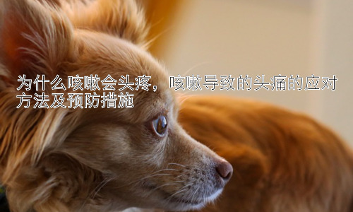 为什么咳嗽会头疼，咳嗽导致的头痛的应对方法及预防措施插图