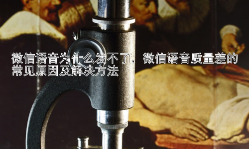 微信语音为什么发不了，微信语音质量差的常见原因及解决方法插图