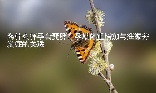 为什么怀孕会变胖，孕期体重增加与妊娠并发症的关联插图
