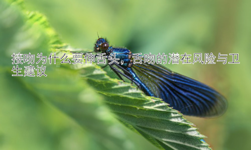 接吻为什么要伸舌头，舌吻的潜在风险与卫生建议插图