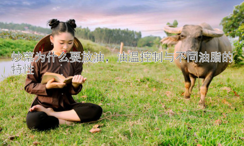 炒菜为什么要放油，油温控制与不同油脂的特性插图