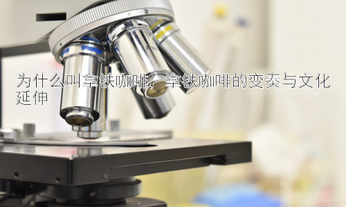 为什么叫拿铁咖啡，拿铁咖啡的变奏与文化延伸插图