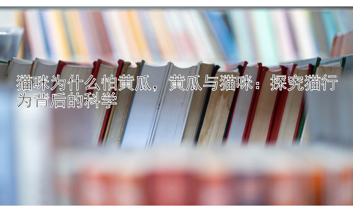 猫咪为什么怕黄瓜，黄瓜与猫咪：探究猫行为背后的科学插图