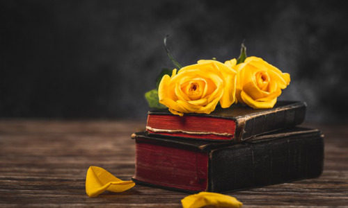 车辆为什么要保养,车辆保养的误区与正确方法插图1 车辆为什么要保养,车辆保养的误区与正确方法-图片2