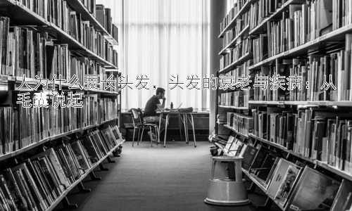 人为什么要长头发，头发的衰老与疾病：从毛囊说起插图