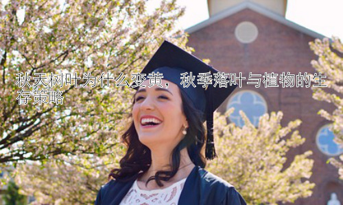 秋天树叶为什么变黄，秋季落叶与植物的生存策略插图