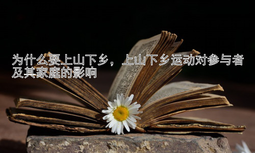 为什么要上山下乡，上山下乡运动对参与者及其家庭的影响插图